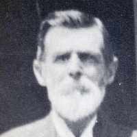 William Healey (1849 - 1925) Profile
